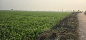  Land For Sale in Jewar