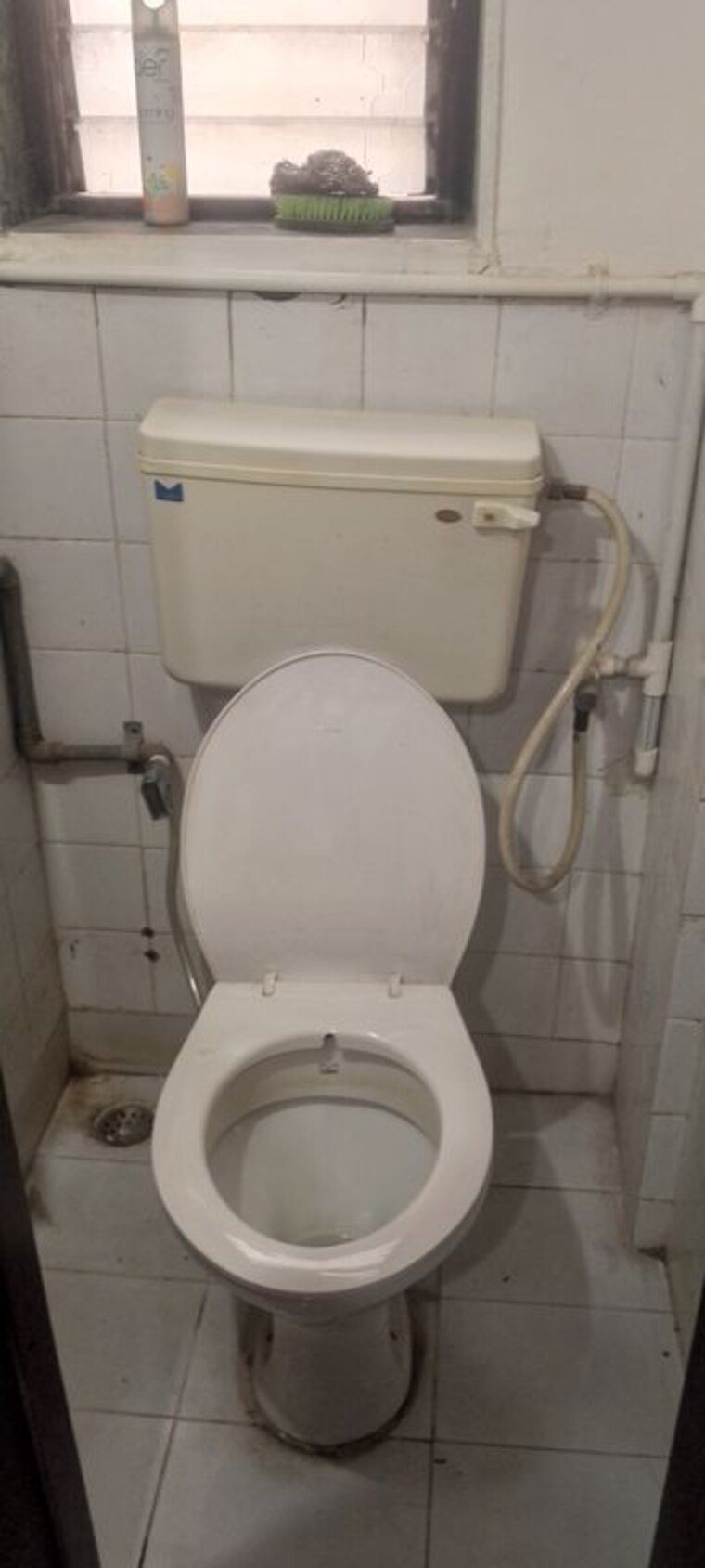 Bathroom, prasad-park 1 Bedroom 610 Sq.Ft. Builder Floor In Hingne Khurd Pune 9812315