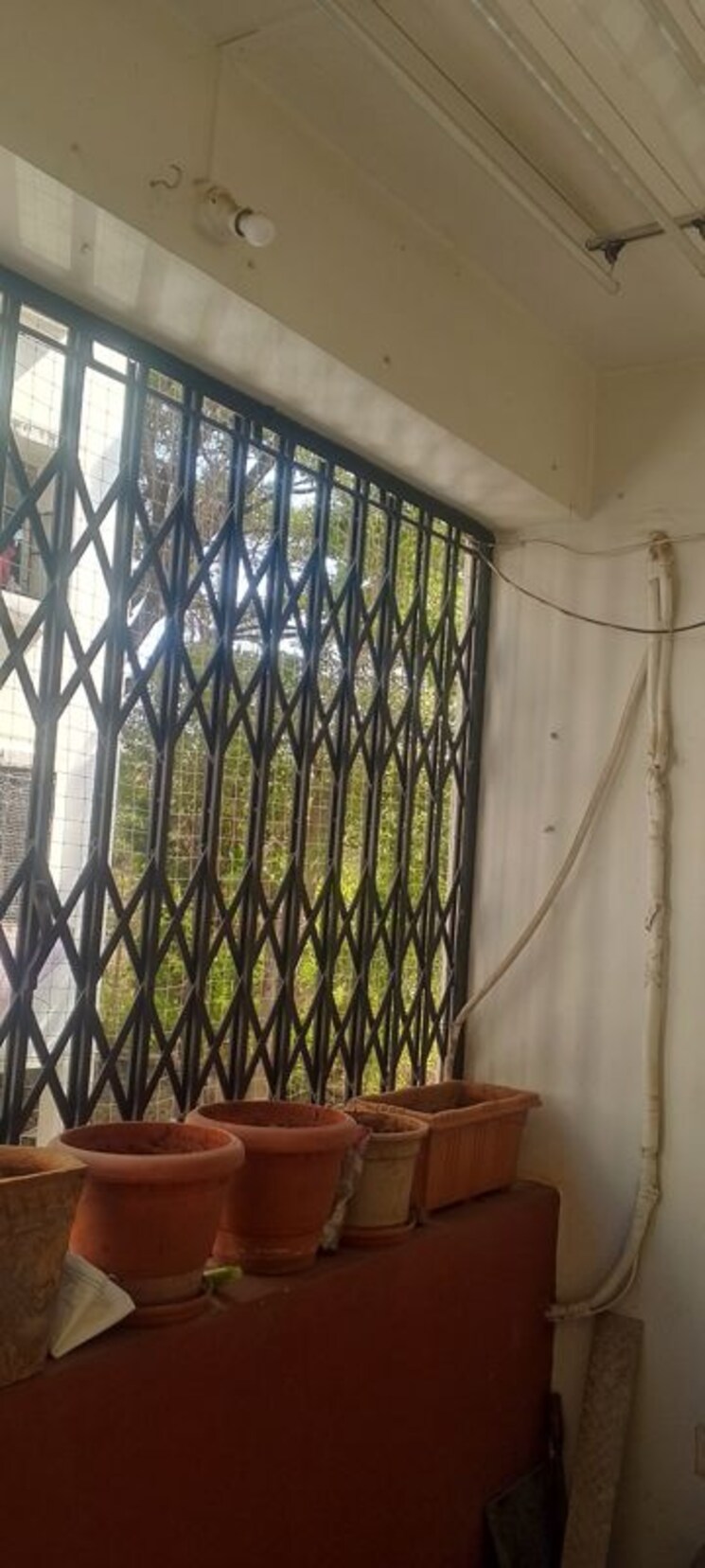 Balcony, prasad-park 1 Bedroom 610 Sq.Ft. Builder Floor In Hingne Khurd Pune 9812315