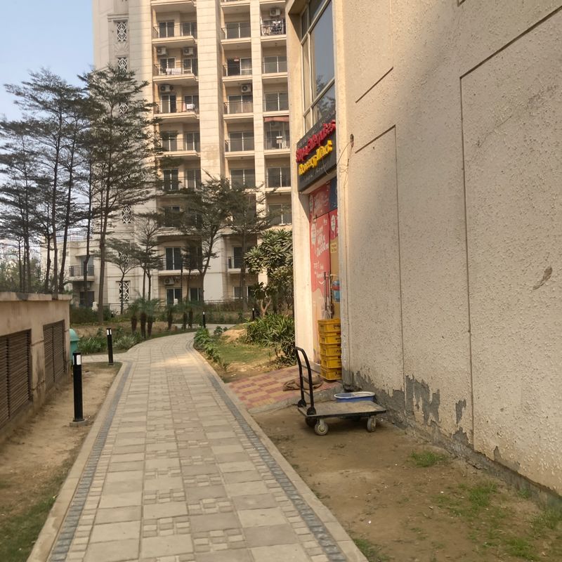 2 BHK Apartment For Rent in ATS Allure