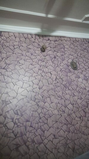  2 BHK Apartment at Dhaiya – for Rent