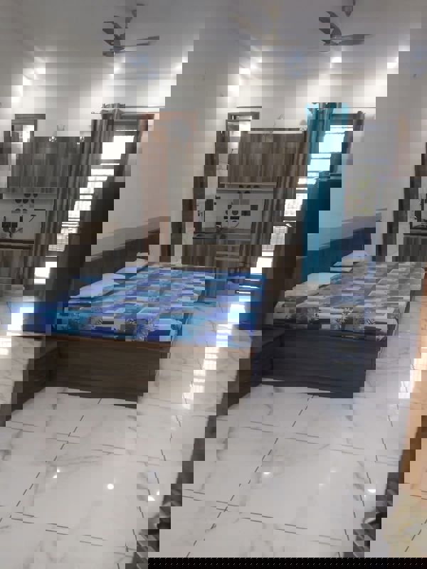 3 BHK Builder Floor For Sale in Sector 23