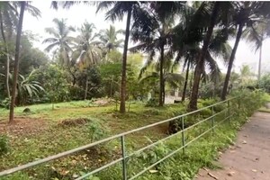  Plot For Sale in Puzhakkal
