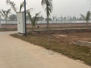 Plot Area in  Plot at Panchkula Urban Estate – for Sale