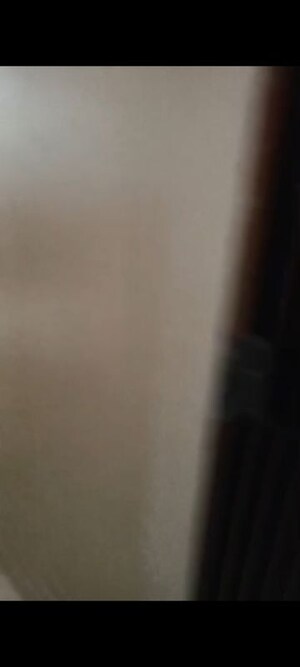 Room in 1 BHK Apartment at Eff Jumbo Darshan CHS, Andheri East – for Rent