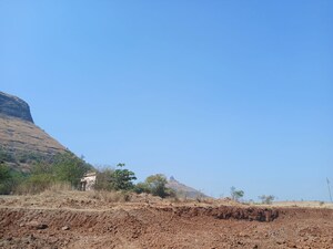 Plot Area in  Plot at Peth Road – for Sale