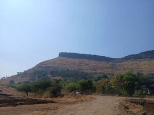 Plot Area in  Plot at Peth Road – for Sale