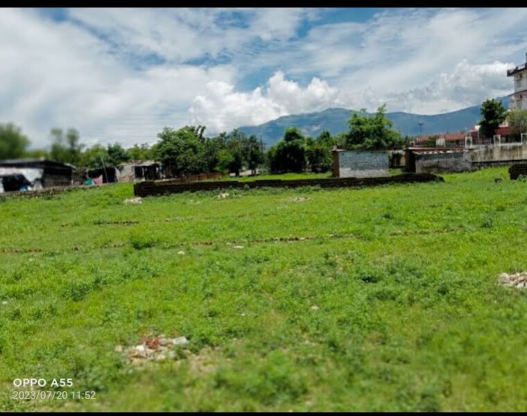 Garden, nanda ki chowki  1500 Sq.Ft. Plot In Nanda Ki Chowki Dehradun 9832511