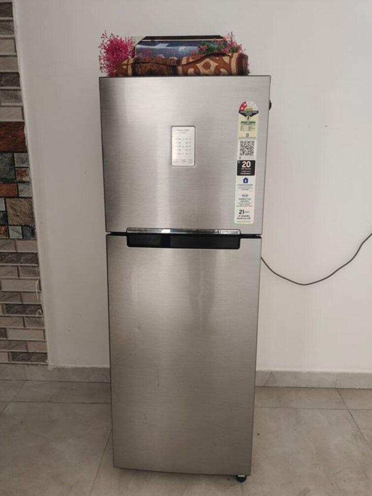 undefined, alpha ii greater noida 1 Bedroom 600 Sq.Ft. Builder Floor In Alpha Ii Greater Noida Greater Noida 9832864