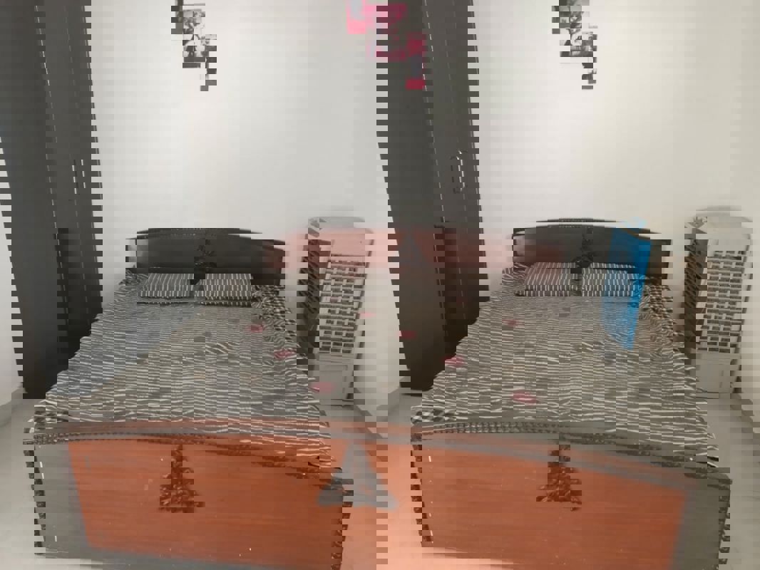 1 BHK Builder Floor For Rent in Alpha II Greater Noida