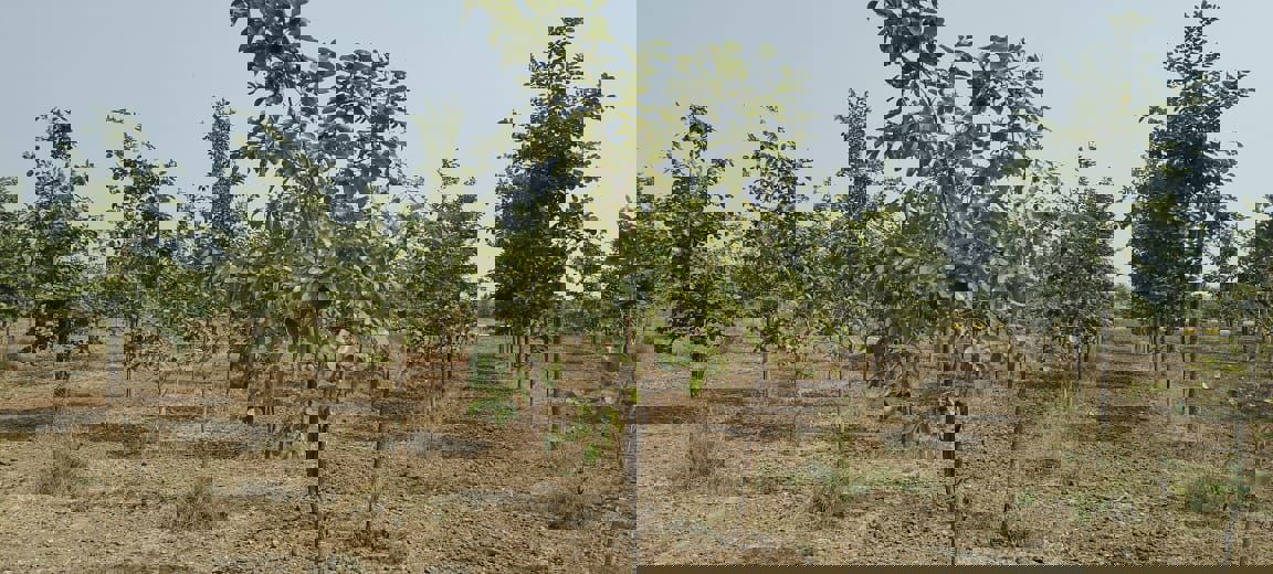 Plot For Sale in Siri Mahagiri Golden City New