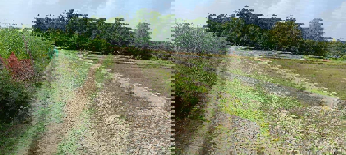 Plot For Sale in Gomti Nagar