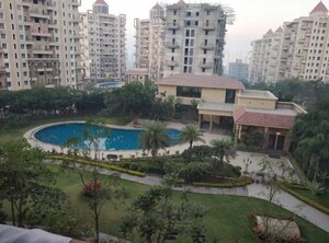 3 BHK Apartment For Rent in Nyati Ethos, Undri