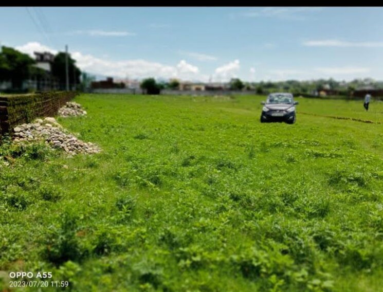 Garden, nanda ki chowki  1410 Sq.Ft. Plot In Nanda Ki Chowki Dehradun 9832622