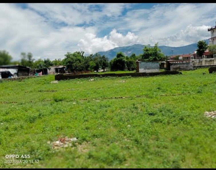 Garden, nanda ki chowki  1710 Sq.Ft. Plot In Nanda Ki Chowki Dehradun 9832636