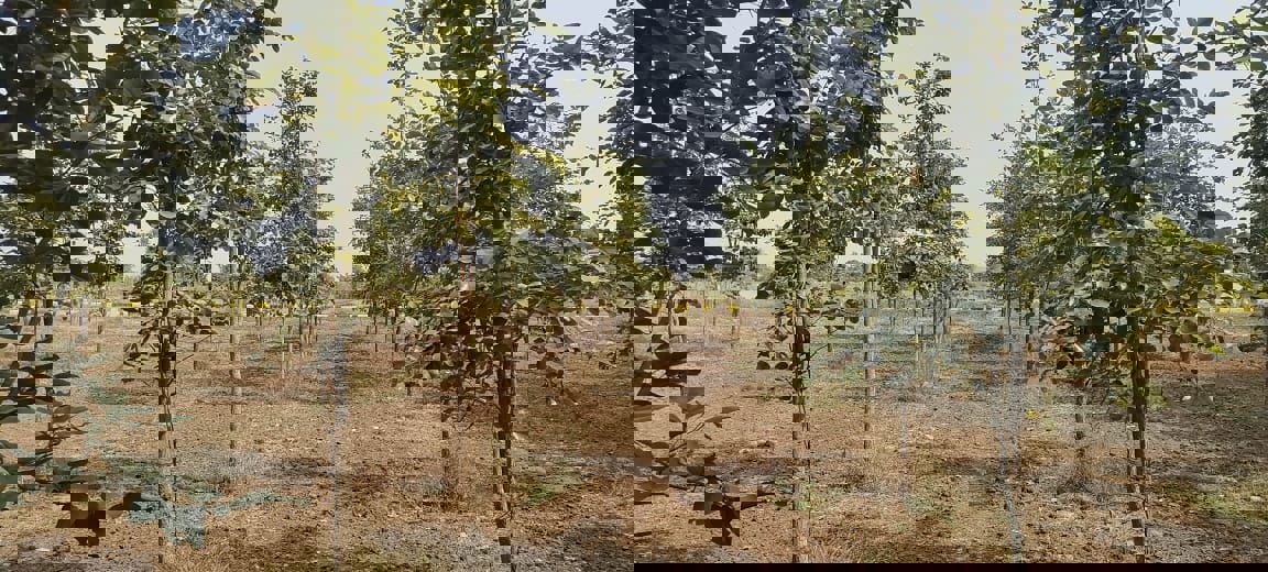 Plot For Sale in Siri Mahagiri Golden City New