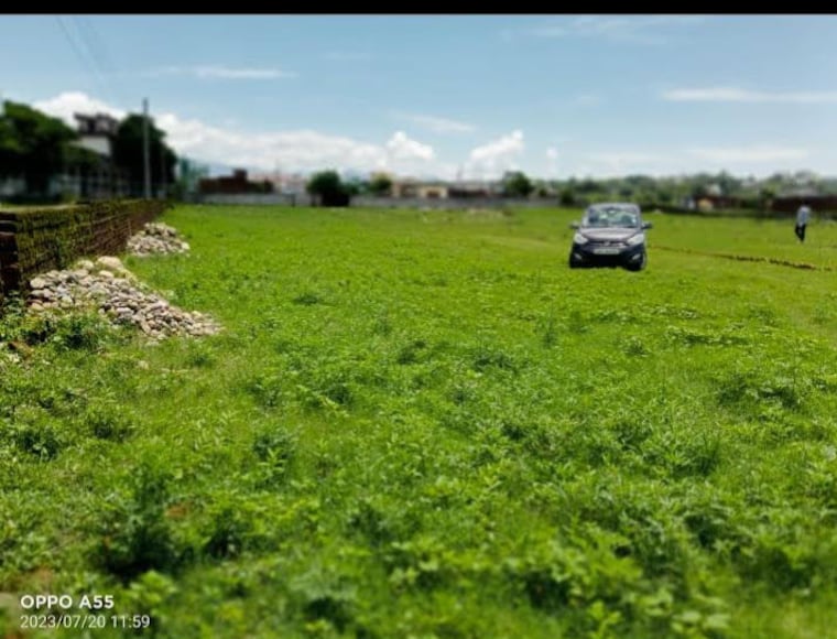 Garden, nanda ki chowki  1460 Sq.Ft. Plot In Nanda Ki Chowki Dehradun 9832649