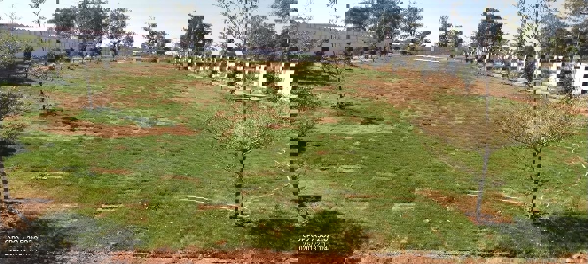 Plot For Sale in Nanda Ki Chowki