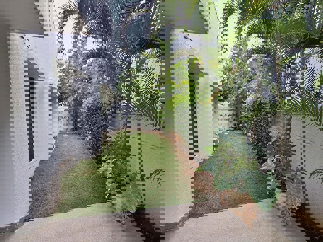 4 BHK + Pooja Room,Servant Room,Study Room Villa For Rent in Rajapushpa Open Skies