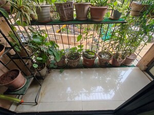 Balcony in 2 BHK Apartment at Raunak Unnathi Gardens Phase II, Pokhran Road No One – for Rent