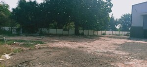 Plot Area in  Warehouse at Jarod – for Sale