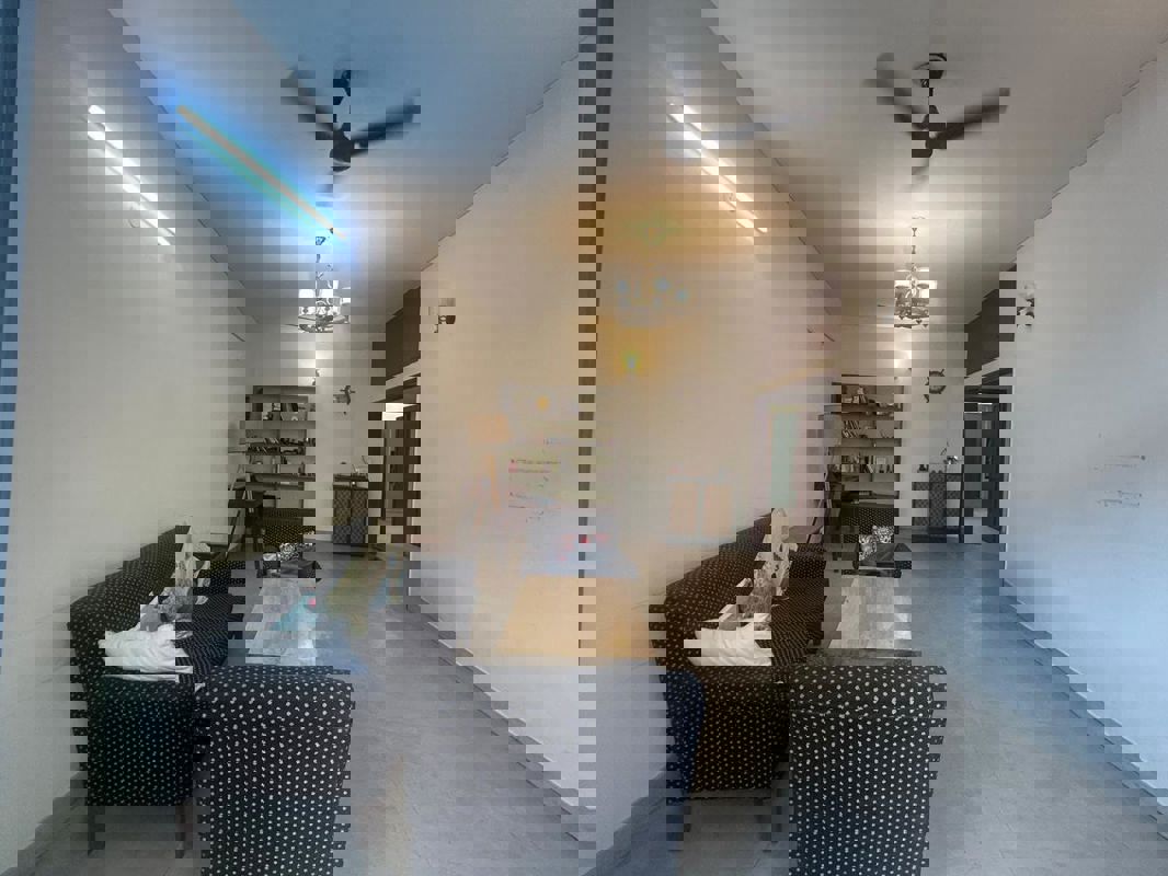 3 BHK + Pooja Room,Servant Room,Study Room Builder Floor For Rent in Panchsheel Enclave