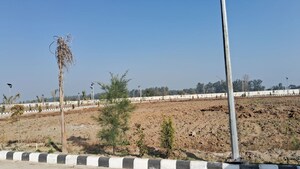  Plot For Sale in Jind ho