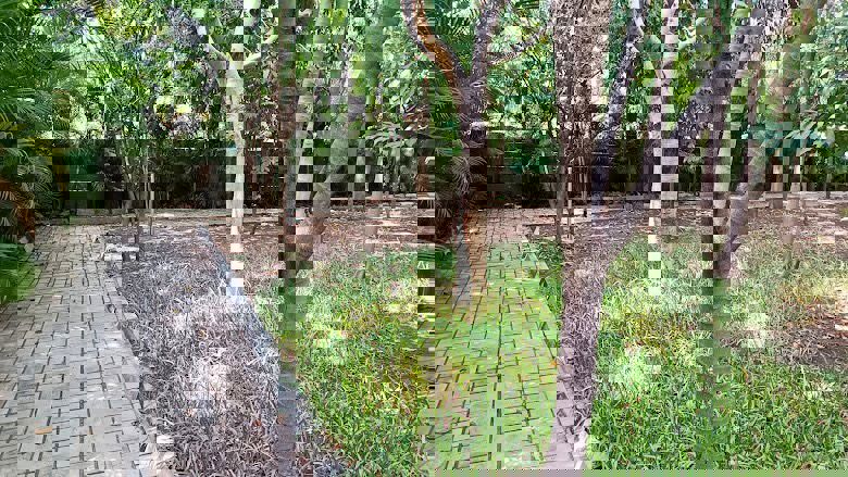 Plot For Sale in Gauribidanur