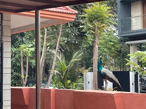 3 BHK Villa – Exterior View View at Sarjapur Road - for Rent