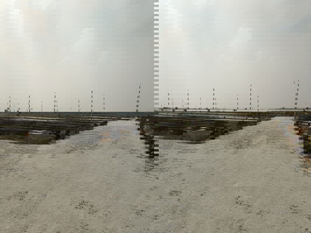 Plot For Sale in Gauribidanur