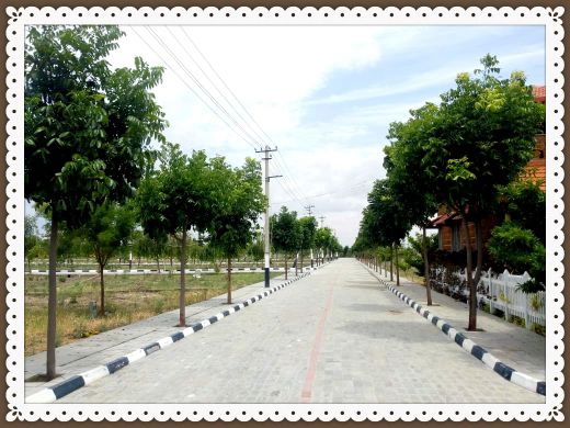 Plot For Sale in Gauribidanur