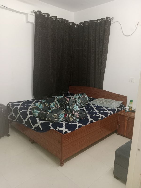 2 BHK Apartment For Rent in Signature The Millennia 2