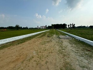 Plot Area in  Plot at Sukrauli – for Sale