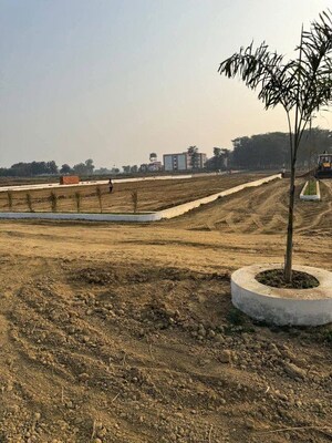 Plot Area in  Plot at Sukrauli – for Sale