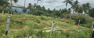  Plot For Sale in Kothanur