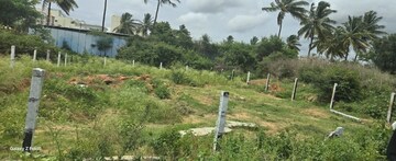  Plot For Sale in Kothanur
