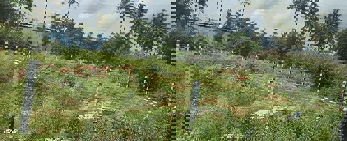 Plot For Sale in Kothanur