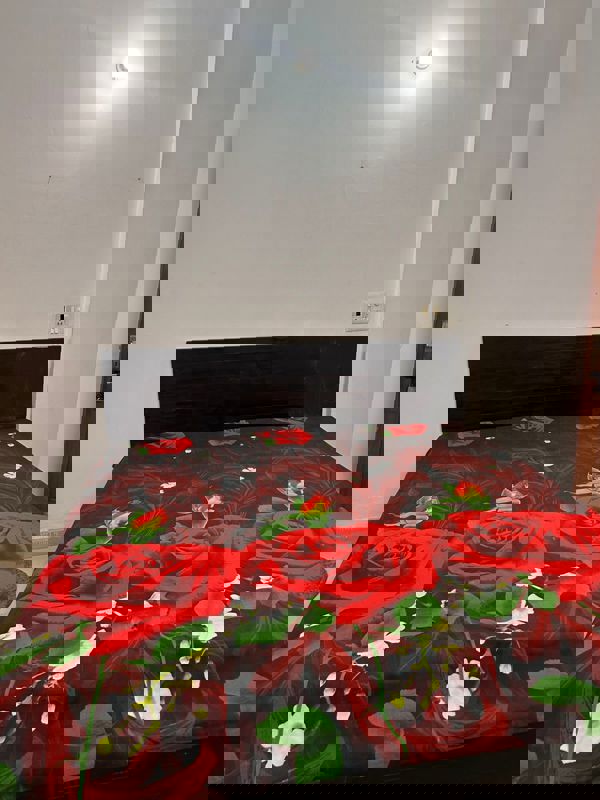 1 BHK Apartment For Rent in Malviya Nagar