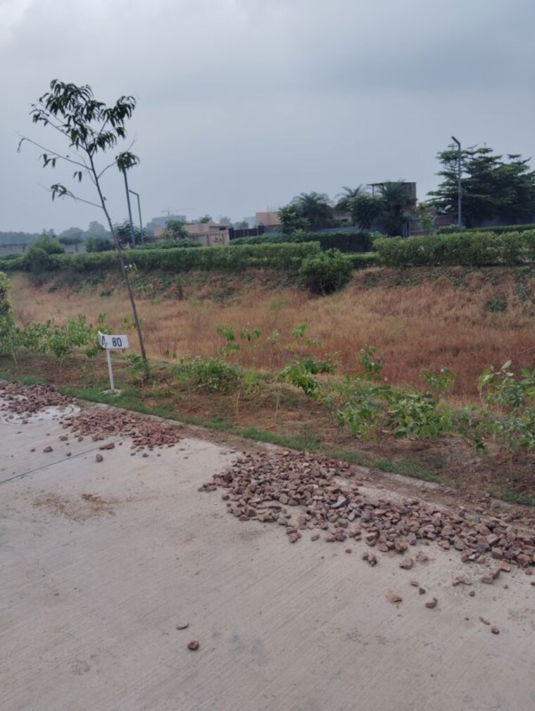 undefined, amolik-aster-woods  1135 Sq.Ft. Plot In Sector 98 Faridabad 9834605