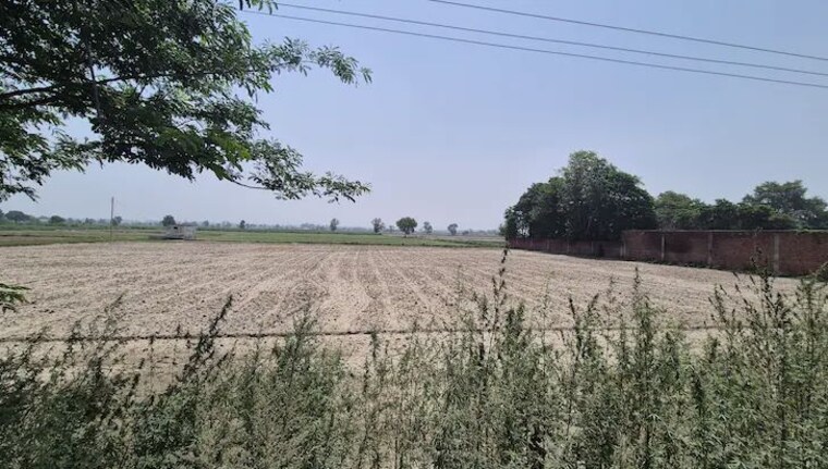 undefined, sector 102  2704 Sq.Ft. Plot In Sector 102 Gurgaon 9834891