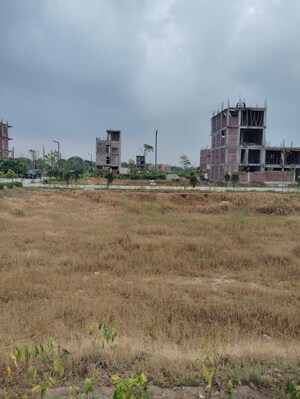  Plot For Sale in Amolik Aster Woods, Sector 98