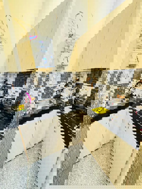 2 BHK Apartment For Rent in Saket