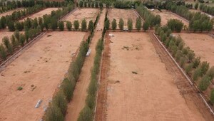 Plot Area in  Plot at Chikkaballapur – for Sale