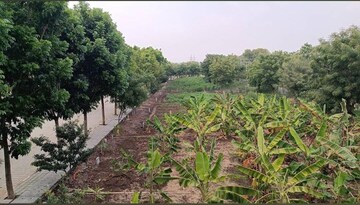  Plot For Sale in Gauribidanur