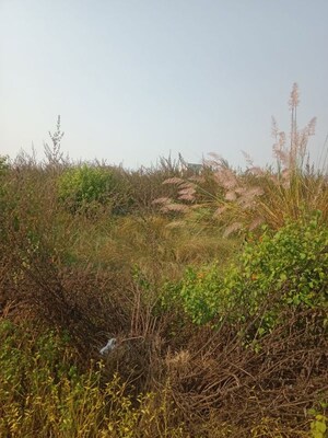 Plot Area in  Plot at Deva Road – for Sale