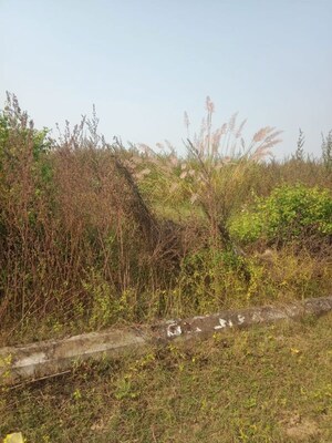 Plot Area in  Plot at Deva Road – for Sale