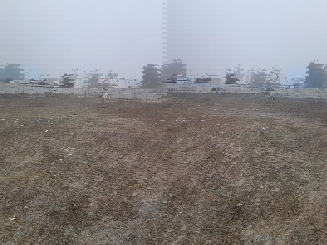 Plot For Sale in Deva Road