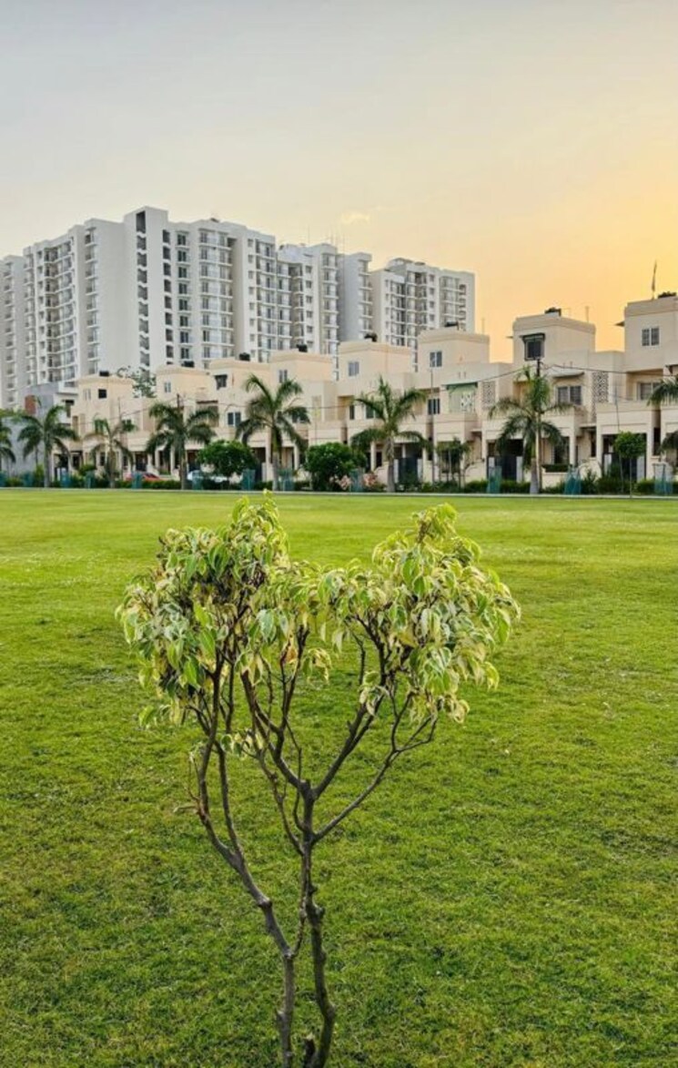 Garden, wing-lucknow-greens-plots  1856 Sq.Ft. Plot In Sultanpur Road Lucknow 9836390