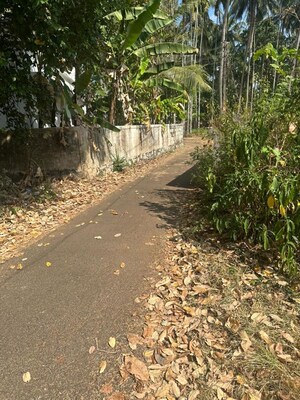 Plot Area in  Plot at Viyyur – for Sale