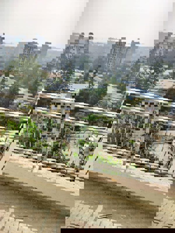 2 BHK + Servant Room 1000 Sq.Ft. Apartment in Blue 27th Avenue